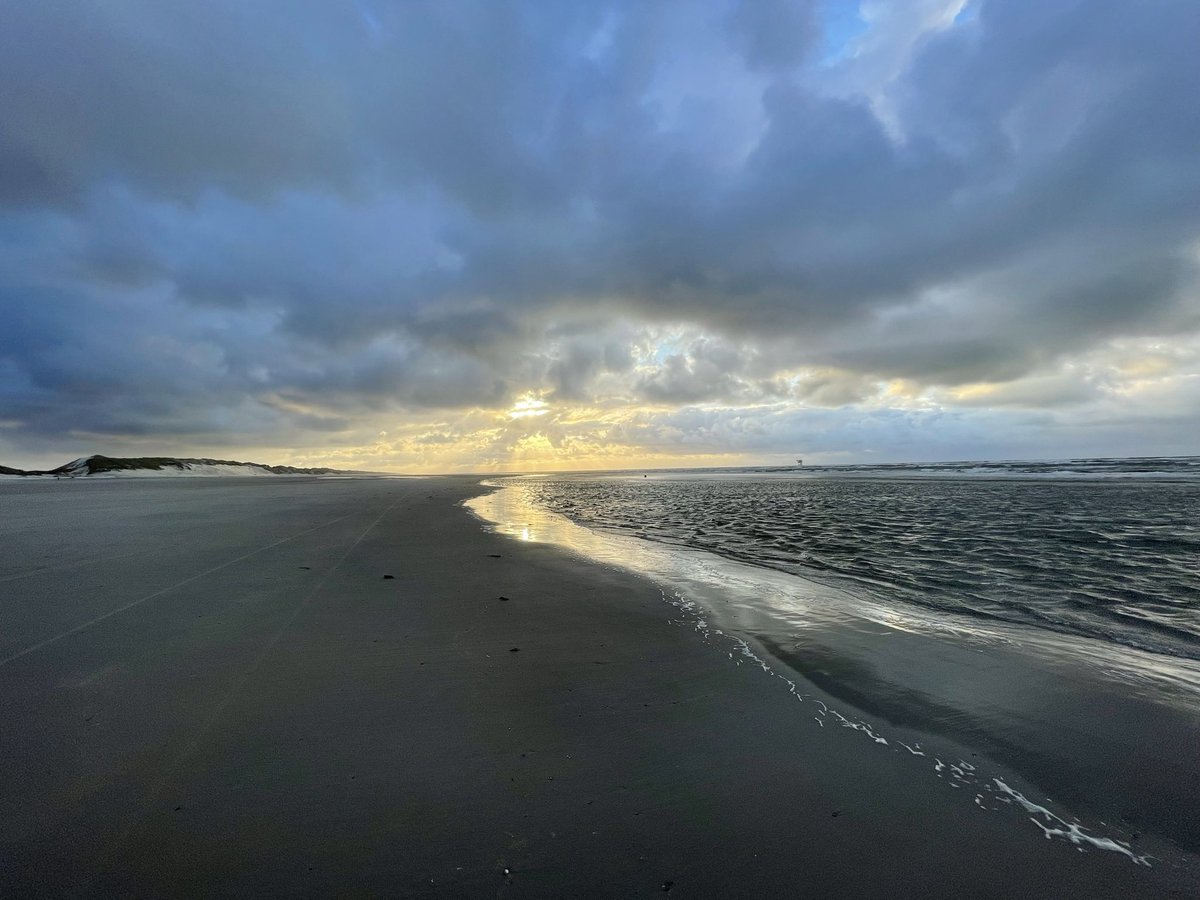 Leo Kiewied 🌐 (@leokiewied) on Twitter photo 