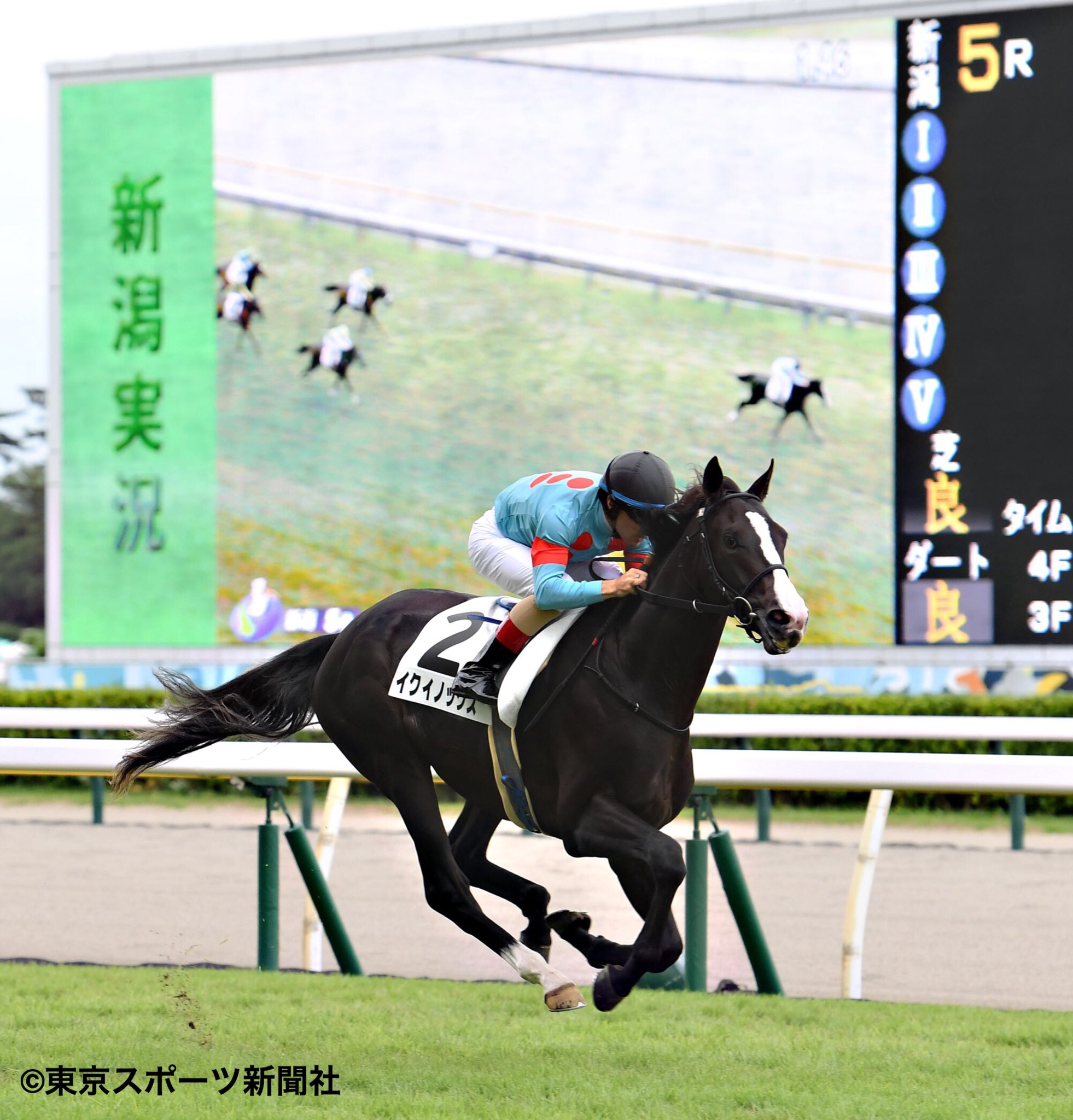 【在庫限り】 イクイノックス メイクデビュー新潟 2歳新馬戦 2021年8月28日 その他