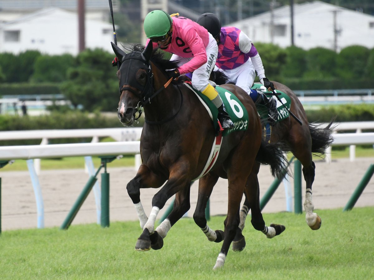 小倉サマージャンプ Twitter Search