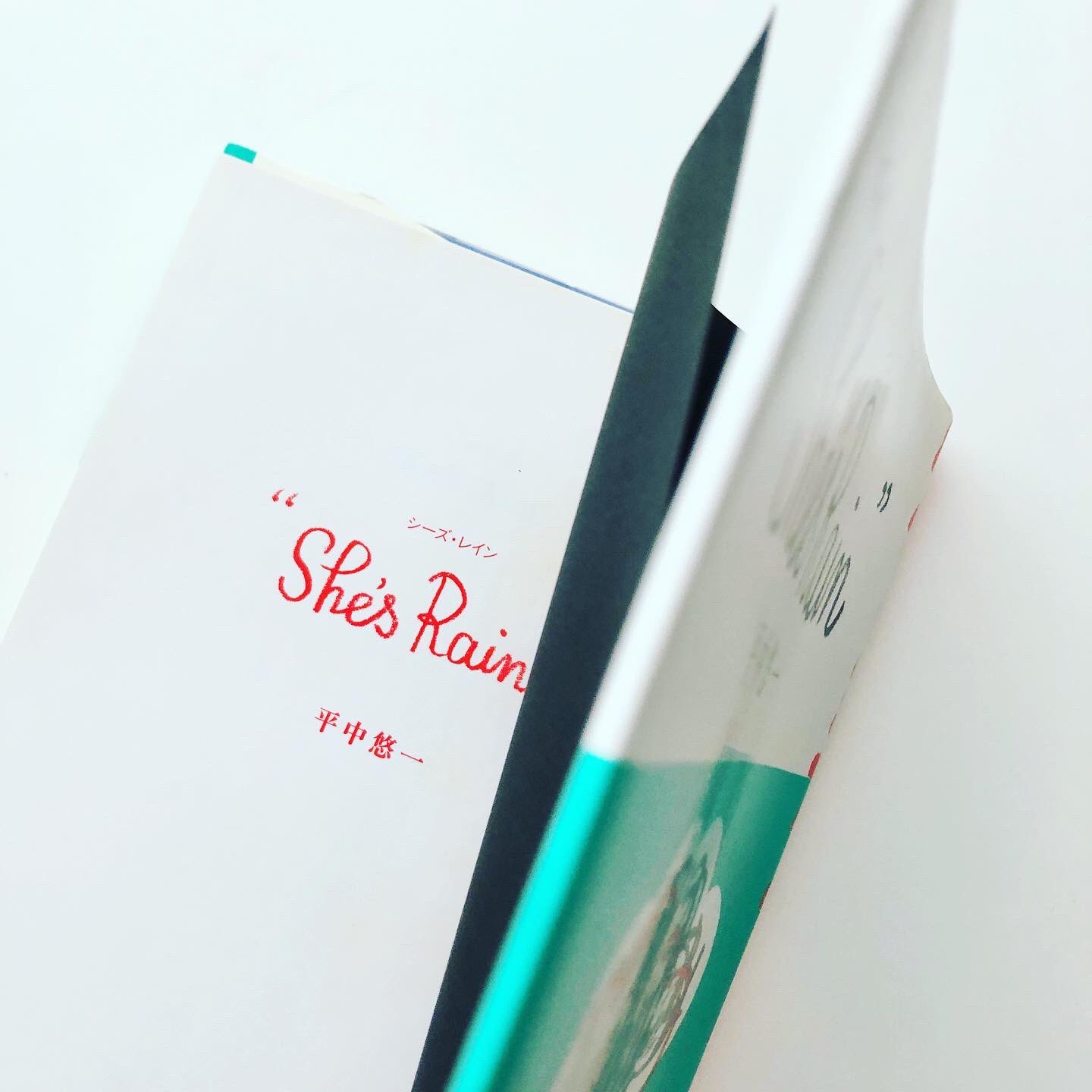 シーズレイン　She's　Rain　　平中悠一 シーズ・レイン (河出文庫 240A) | 平中 悠一 |本 | 通販 | Amazon