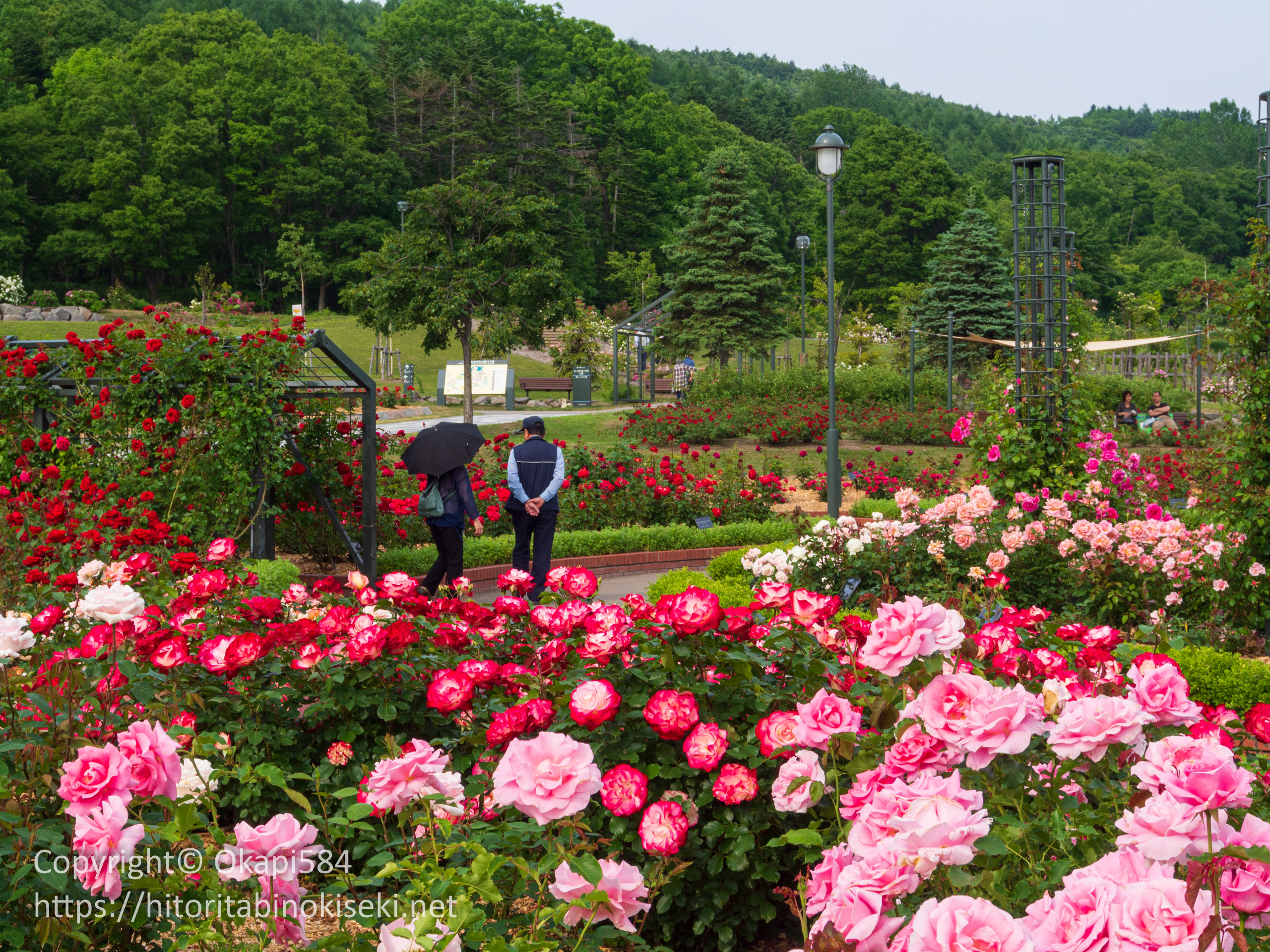 いわみざわ公園バラ園 Twitter Search Twitter