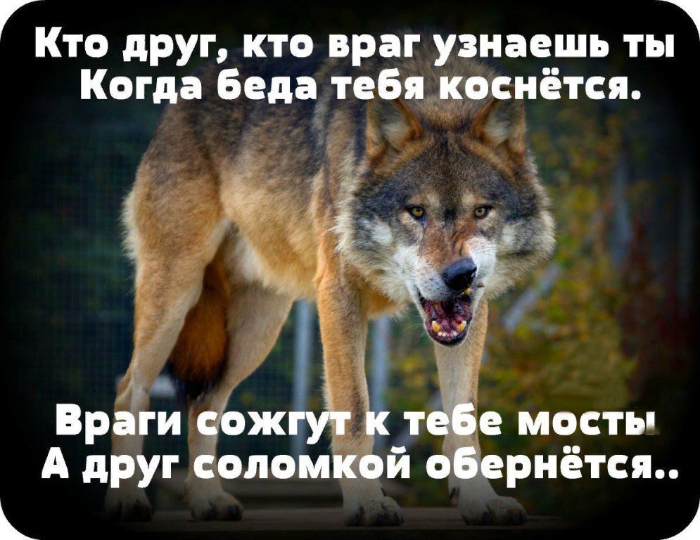 Не видел не поверишь. Статусы про беду. Человека узнаешь в беде. Статусы про друзей которые забыли про тебя. Друг твоего врага.