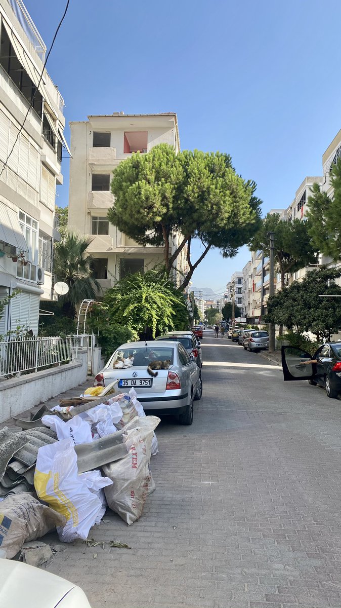 1752 sokakta yıkılacak apartmanın asbestli eternitleri kırılmış sokağa atılmış.Bu apartmanın  “asbest analiz raporu” nu kim verdi? Mevzuat ve Yönetmelikler böyle mi <a href="/karsiyaka_bel/">Karşıyaka Belediyesi</a> uygulanıyor? Karşıyaka ASBEST soluyor❗️ <a href="/csbgovtr/">T.C. Çevre, Şehircilik ve İklim Dğş. Bakanlığı</a> <a href="/izmirbld/">İzmir Büyükşehir Belediyesi</a> <a href="/ASUD06/">Asbest Söküm Uzmanları Derneği(ASUD)</a> <a href="/tuncsoyer/">Tunç Soyer</a> <a href="/ramisrasi/">Ramis Sağlam</a> <a href="/odmanasli/">Aslı Odman</a>