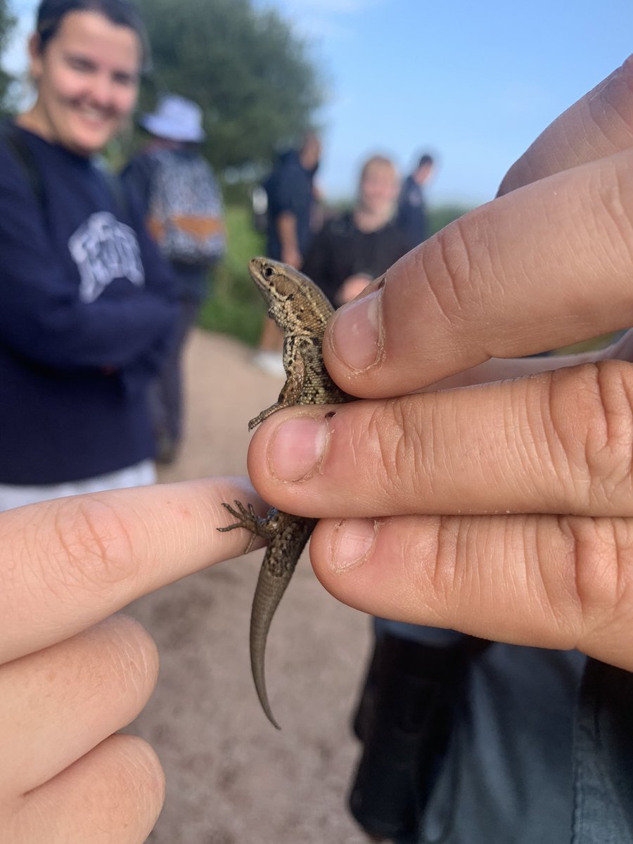 DannyScadding's tweet photo. Had a great week at Slapton, most memorable parts included mammal trapping, camera trapping, learning how to ID species better, scouting out some bats and seeing everyone for the first time in a long time!! 😊 @plymouthbiol https://t.co/RuKGgGs7Hg