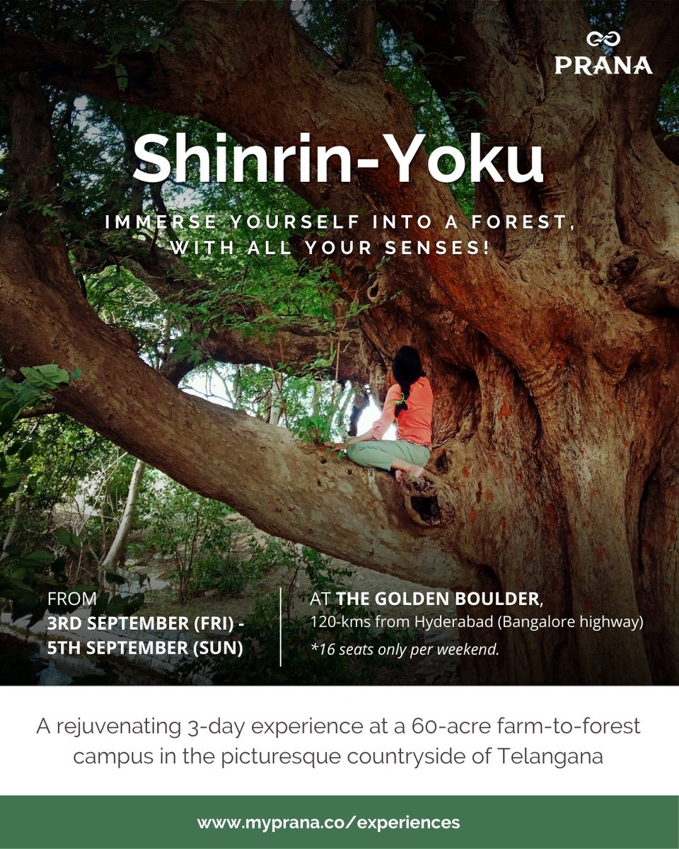 WorldviewEdu's tweet photo. Shinrin-Yoku or Forest-bathing is an immersive experience of opening oneself to the many things a forest has to offer.

Flow into a state of being that enhances Brain Functioning, with Increased Focus, Energy, and Peacefulness. 

*Sign up here: https://t.co/2OntSV0DCf* https://t.co/tGklDg3LRN