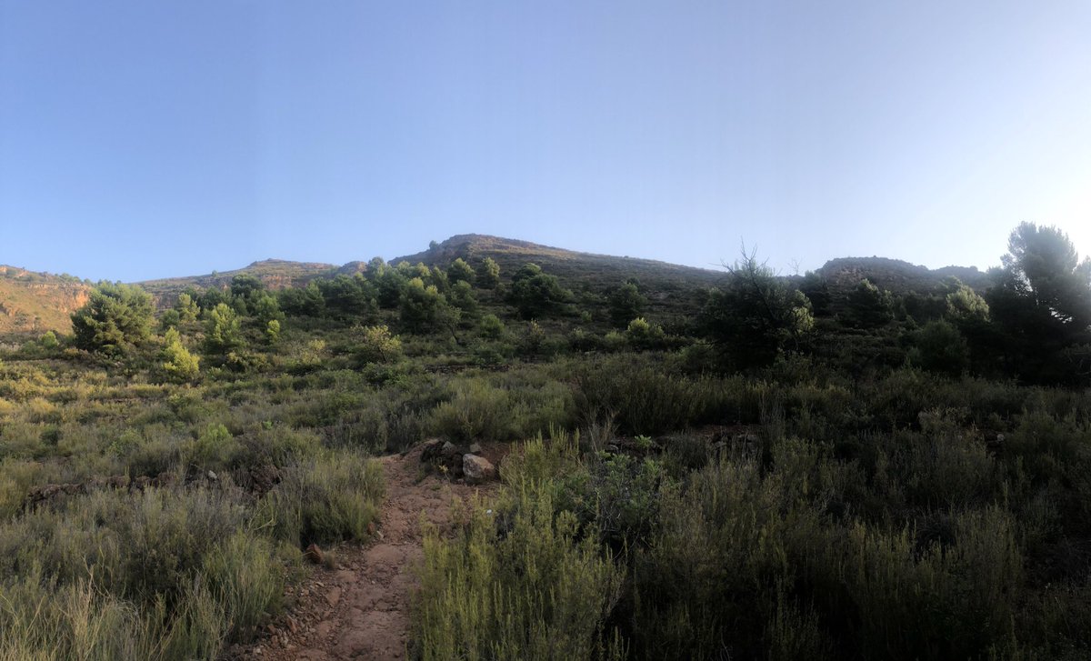 MarioRebollar_'s tweet photo. La muntanya per referència a la Vall d’Uixó és Pipa(+590m). Però a aquesta la precedeixen dos pics previs, la Balona(+456m) i la Troneta. La 1a 📷 feta des de la cara oest, la 2a des de la Nord (per darrere de Pipa) i la 3a des de l’Alt de Pipa cap al nostre Mediterràni. https://t.co/0rD8HH0xFx