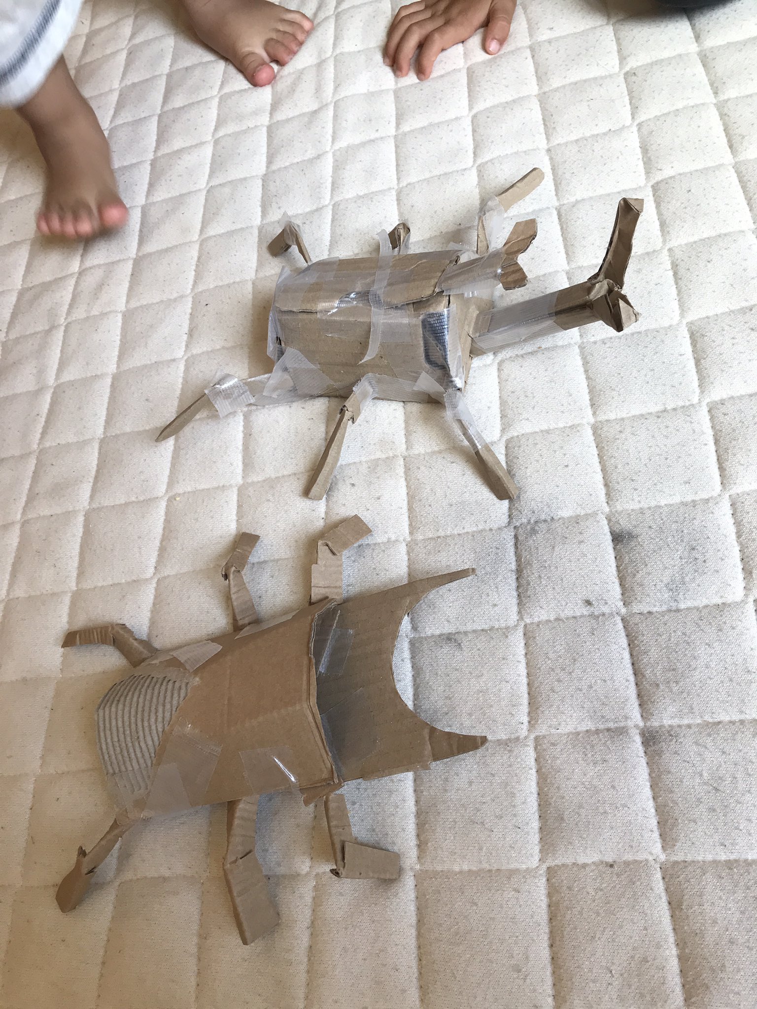 昆虫バトル Twitter Search Twitter