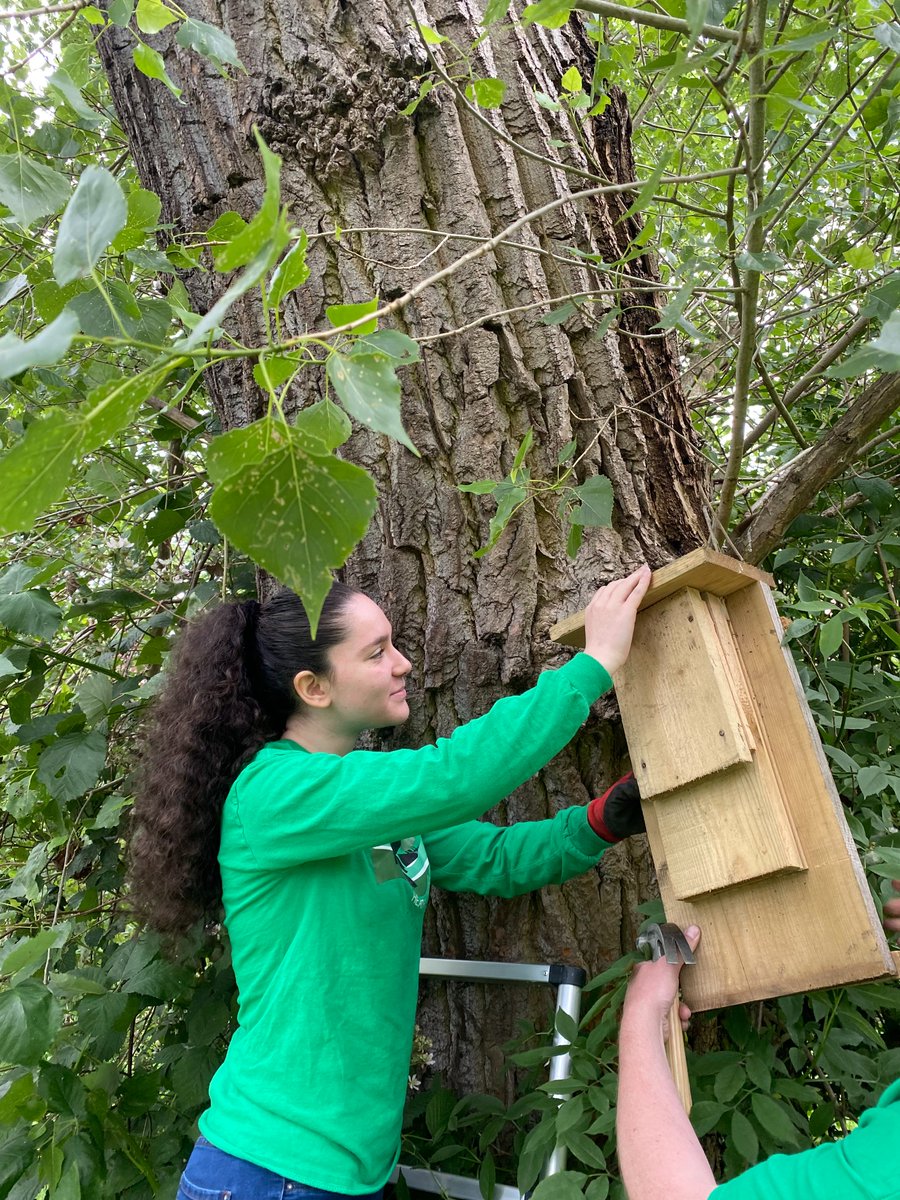HeathHands's tweet photo. It's #InternationalBatWeekend and we've been busy installing bat boxes on Hampstead Heath. Did you know that 9 species of bat have been recorded on the Heath? You can help support them by adopting a bat box today!
https://t.co/UhCy0EPWu6
#InternationalBatNight https://t.co/6NMVHoB3Z3