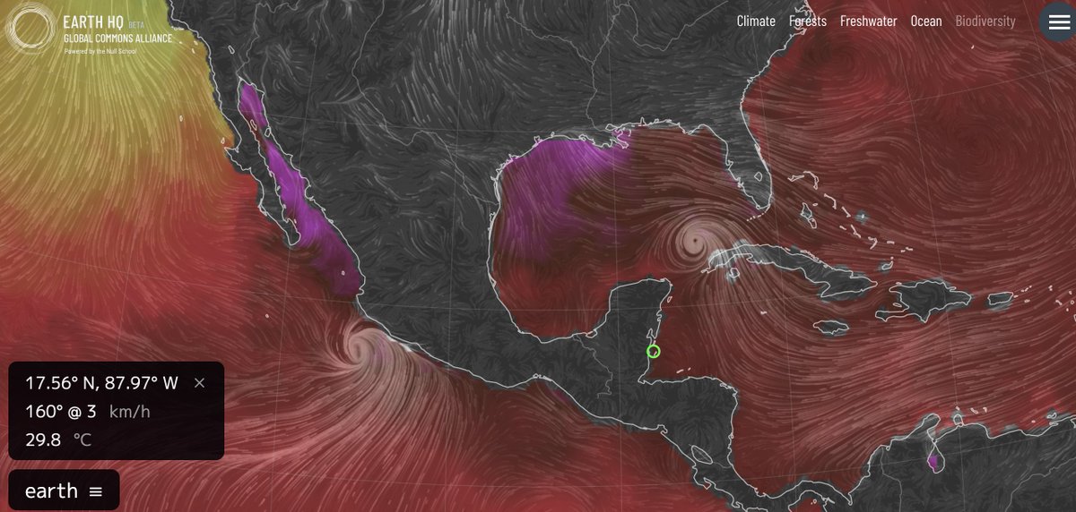 owengaffney's tweet photo. Nora (left) and Ida (right) - showing wind and sea surface temperature @globalcommonshq #nullschool @Globaia https://t.co/X2JSZpRUYd