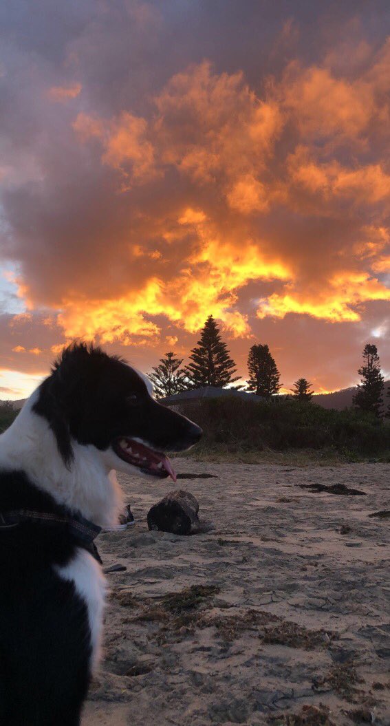 Dawe4Peter's tweet photo. Crazy sky tonight - looks like the Illawarra Escarpment is ablaze 🔥 ☁️ 😁 https://t.co/is1AGLE3rh
