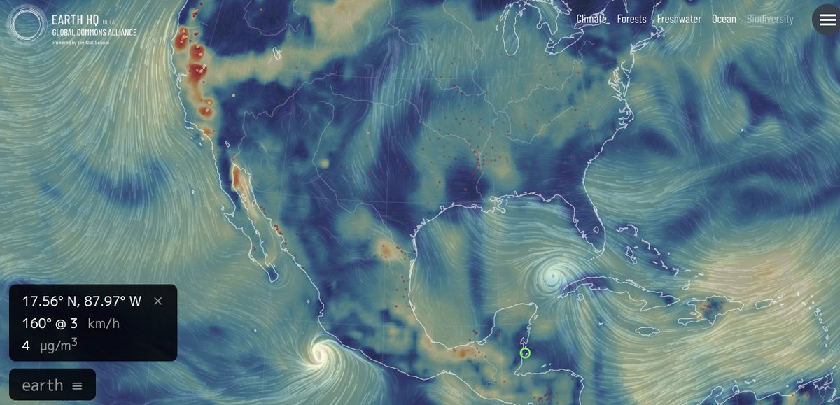 owengaffney's tweet photo. United States/Mexico: fires in northwest, hurricane Ida (left), and tropical storm Nora (right) in the Pacific. #nullschool @globalcommonshq @Globaia https://t.co/enLD0lcmaq