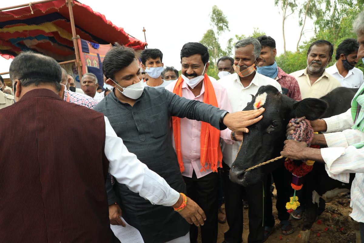 DrSudhakar_'s tweet photo. Chikkaballapura will be the first to implement GoK's first-of-its-kind initiative to establish GoShalas in every district. 

The GoShalas will not only provide rehabilitation to sick and old aged cows but also facilitates marketing of by-products for self-sustenance of GoShalas. https://t.co/nGe8ropaiD