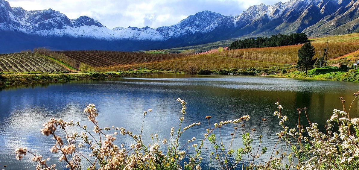 TulbaghTourism's tweet photo. Snow capped mountains in the Tulbagh Valley! #snow #discovertulbagh #tulbaghwineroute #capewinelands https://t.co/gG0OQB39bS