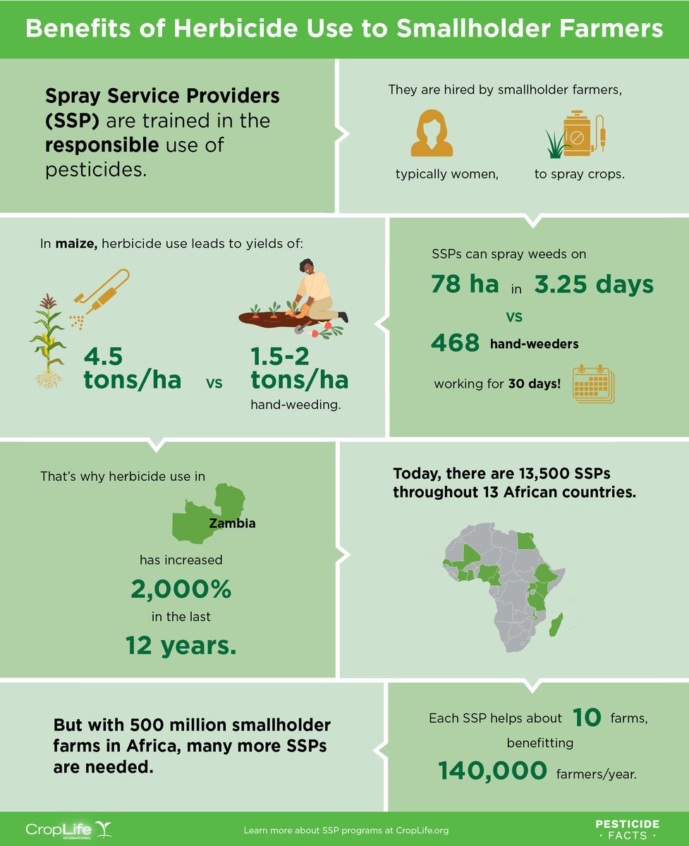 CropLifeIntl's tweet photo. “The majority of #African farmers identify #weeds as a major problem with yield losses, which can range from 25 - 100%,” notes Stella Simiyu Wafukho of @CropLifeAME. See how herbicide use benefits farmers. https://t.co/GGV0q6ndEt #CropLifeIntl #PesticideFacts #cropprotection https://t.co/snyBBhkxdq