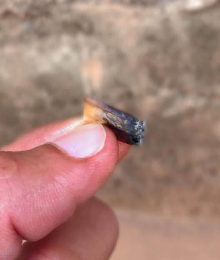 ChapoDoChong's tweet photo. Sempre tem aquele amigo que fuma até o dedo 😂 https://t.co/FkUy6J9YWc