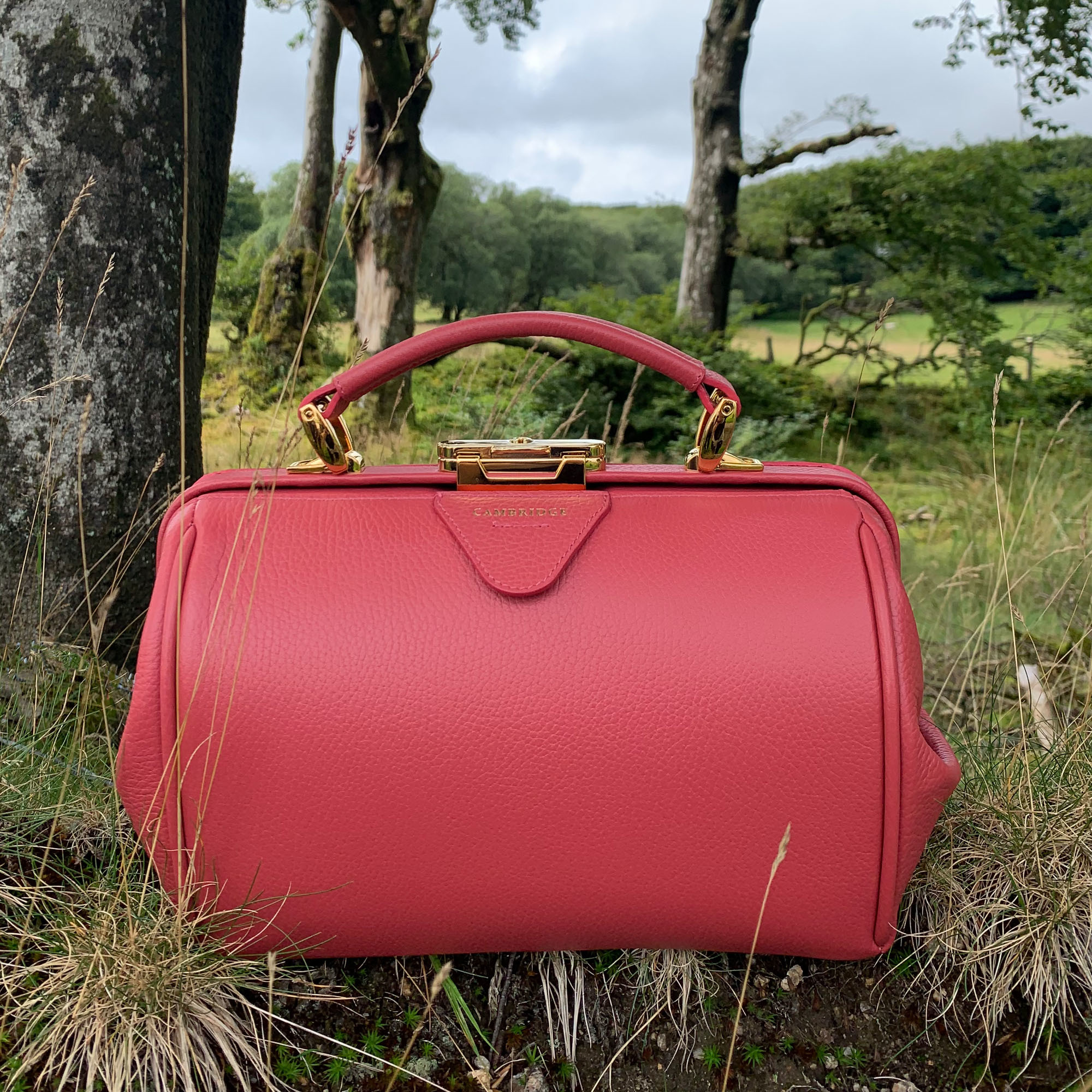 Cambridge Satchel on X