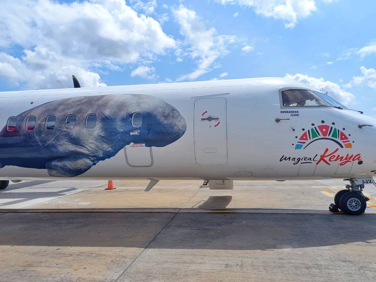 TreeHillTravel's tweet photo. In case you missed it, @FlyJambojet and @magicalkenya  have teamed up to raise awareness for the endangered sea turtle and dugong. Campaign goal is to protect marine life. 
#magicalkenya #marinelife #flyjambojet #travelbetter https://t.co/t7gImqBQK9