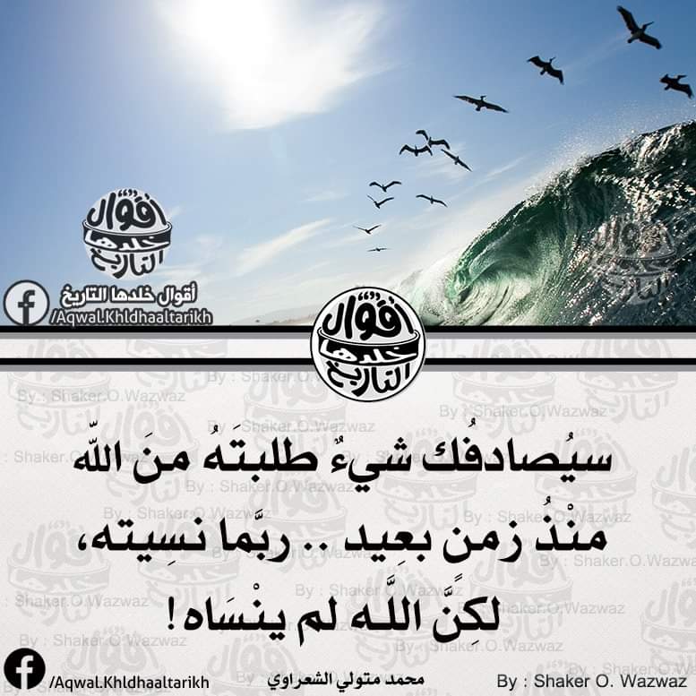 TeebaHaider2's tweet photo. #المحاضر_المتعاقد_ينتفض
يا الله https://t.co/qS9obeqrN2