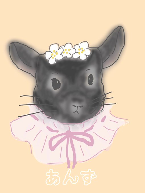 チンチラのtwitterイラスト検索結果