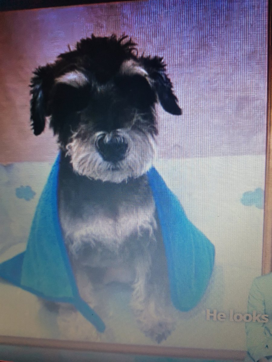 parkjinius's tweet image. MAX AFTER SHOWER HAHAHAHAHAHA

@Park_Jihoon_twt #박지훈 #ParkJihoon #YourCollection