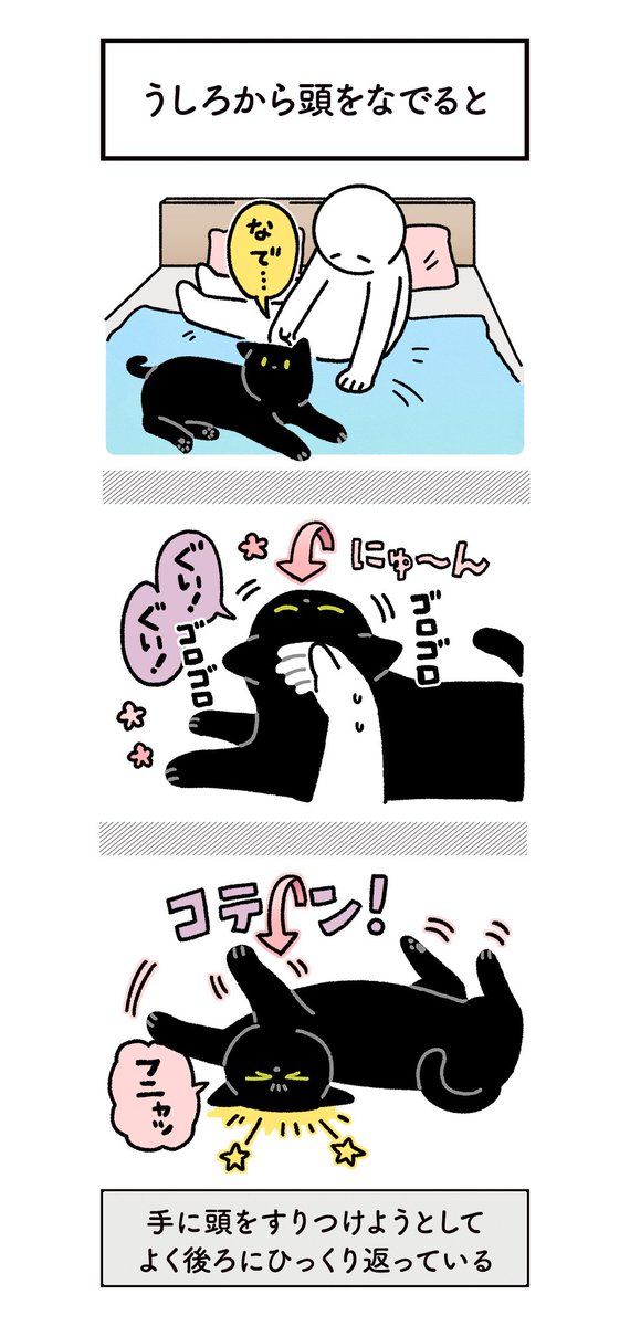 頭をなでなでされるのと、飼い主にスリスリするのが好きすぎるねこの絵日記です(3まいある)#ろんの絵日記 