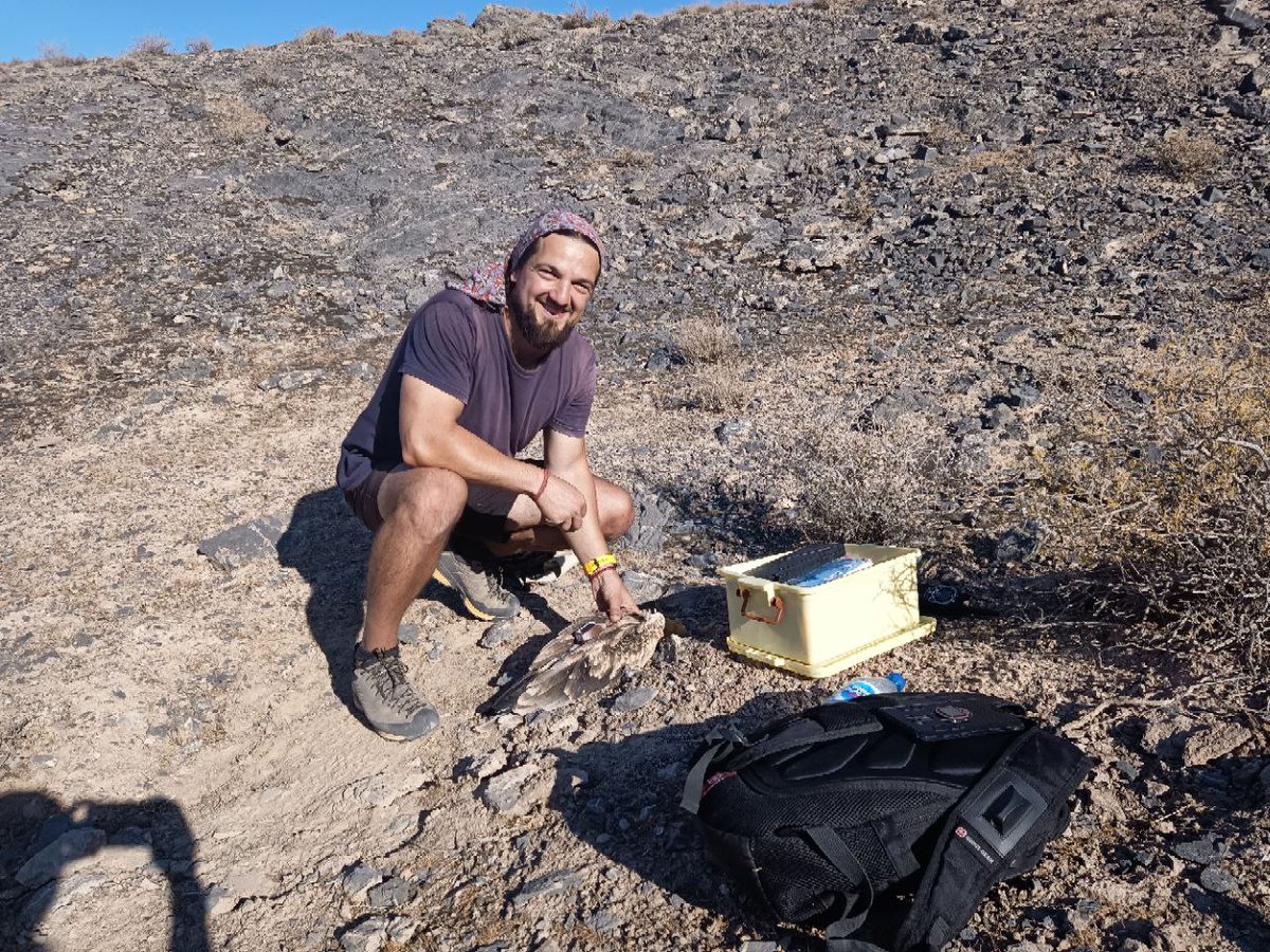 HawkConservancy's tweet photo. New Egyptian Vulture conservation project! #ScienceSaturday #LoveVultures

Thrilled to work w @DrRJBurnside &amp; team. Their aim: tag birds to study migration in Central Asia. Fieldwork pt 1 complete in Uzbekistan! Visit on #IVAD2021 or follow us for more! 

 @_OSME @orientbirdclub https://t.co/0F54E4m7zq