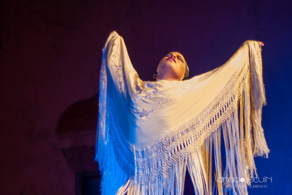 🔴 La II Bienal de Flamenco de Cádiz, Jerez y Los Puertos está llegando a su fin. La última Gala Flamenca en directo espera a los aficionados al #flamenco de #Cádiz en el Baluarte de Los Mártires el domingo 29 de agosto.  💃🏽🌹

🔴 Entradas disponibles en bienalflamencocadiz.com/cadiz/.