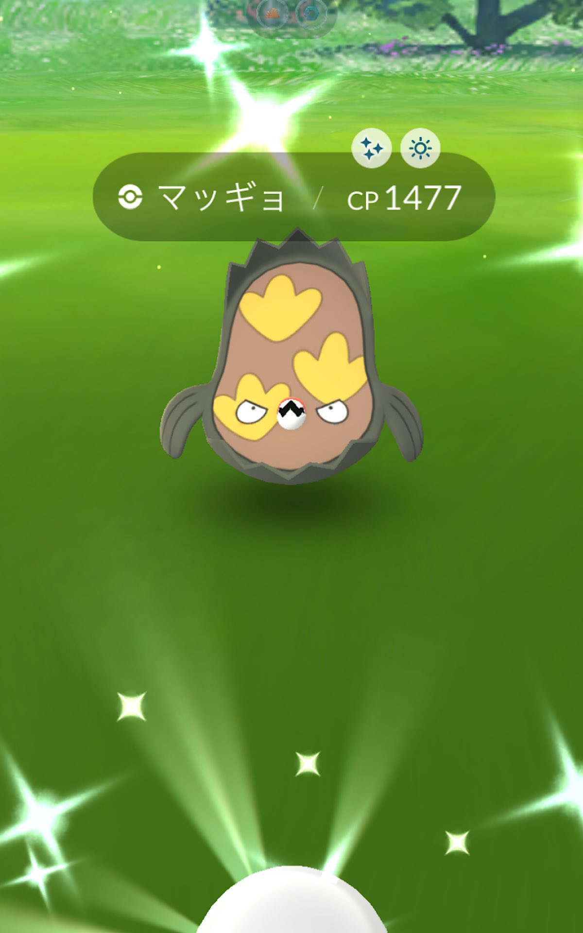 Li10mg ポケモンgo北九州 ガラル色違い4種 コンプしました 招待ありがとうございました ザマゼンタはレイドアワーでがんばるとして しばらくリモートパス節約モードに入ります ポケモンgo 色違い マッギョ T Co Llbvty5uzt Twitter