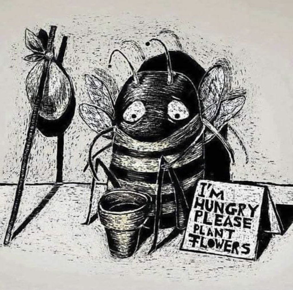 glaCONSERVATION's tweet image. 