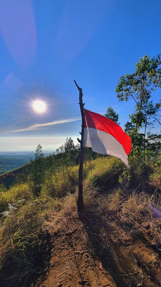 putrifau88's tweet photo. Pertama kali naik gunung, langsung yang 1500mdpl. Budug Asu namanya, yang merupakan kaki gunung Arjuno di Jatim. Hampir ngga sanggup, tapi harus bisa #LampauiBatasmu biar bisa liat lereng Gn. Arjuno dari deket! Dan... Keren banget! #withGalaxy https://t.co/ZjZRhvbJLq