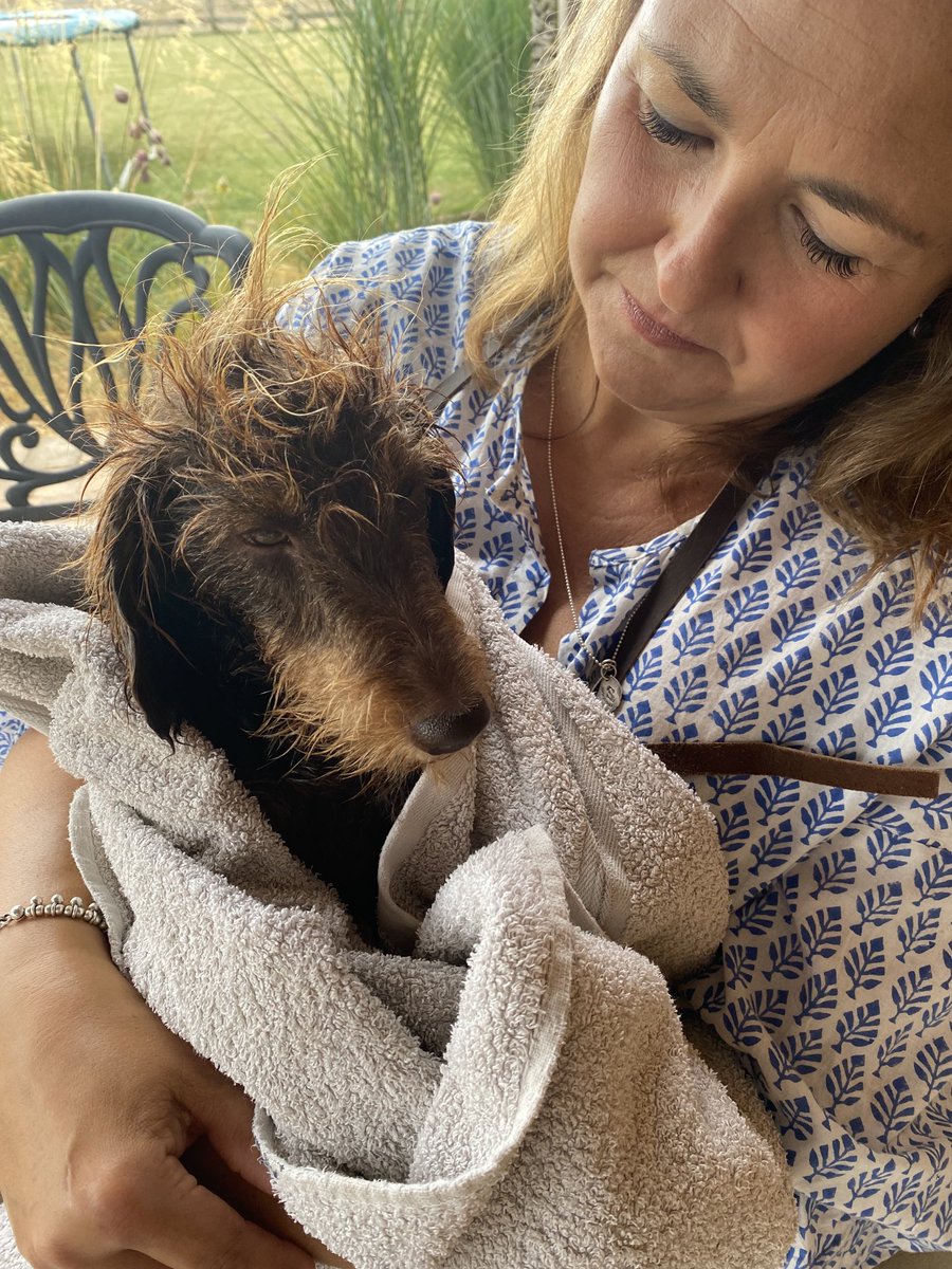 rwlservices's tweet photo. Bath Day! #nothappy #foxshit https://t.co/ZqoZKcDNou