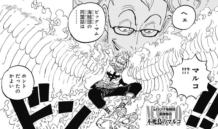 ワンピース マルコの強さや能力を徹底調査 必殺技や登場人物との関係は Selvy