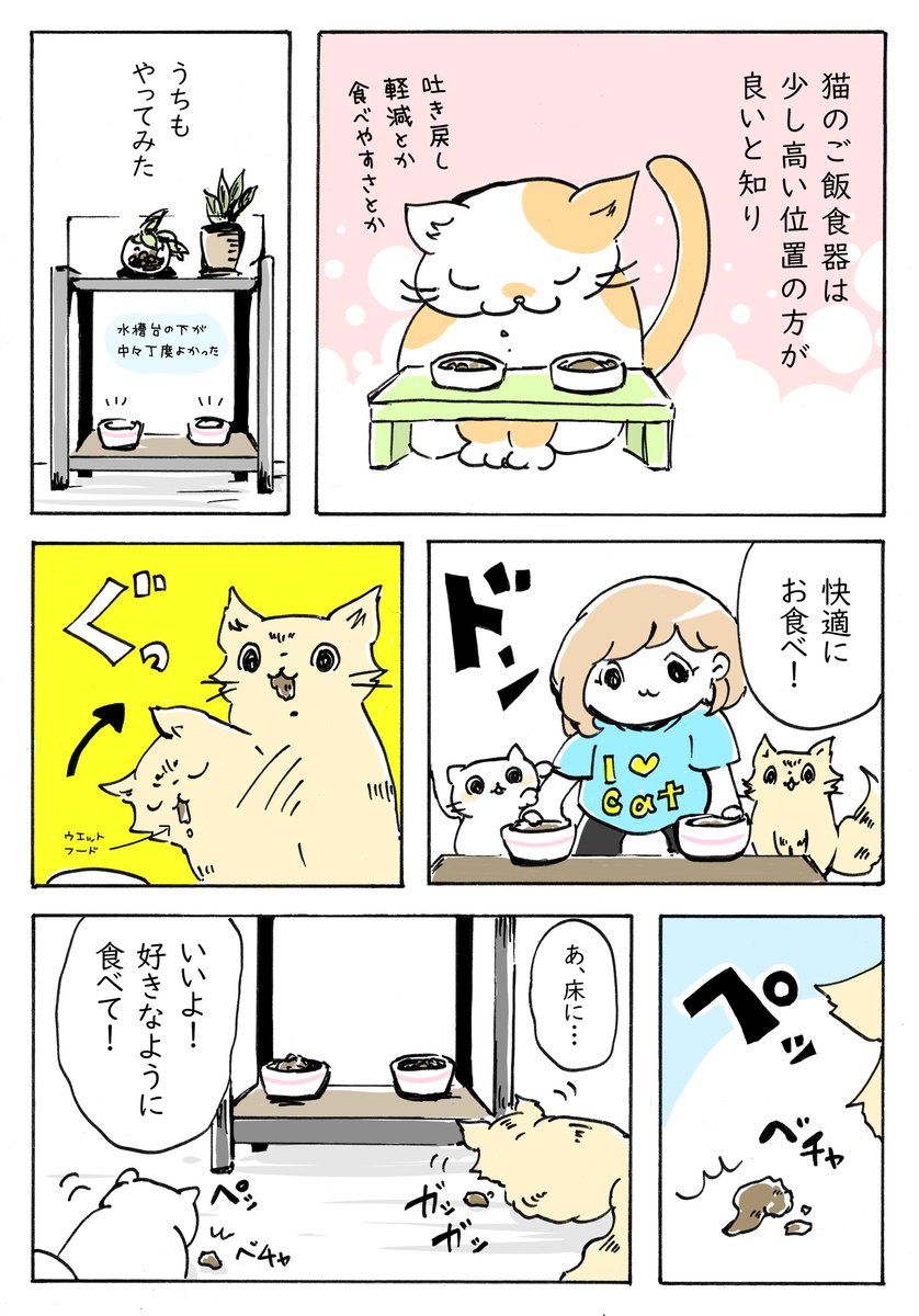 床掃除がんばってます(日常②)
https://t.co/8Zj4Lk4pNJ

#猫のいる暮らし 