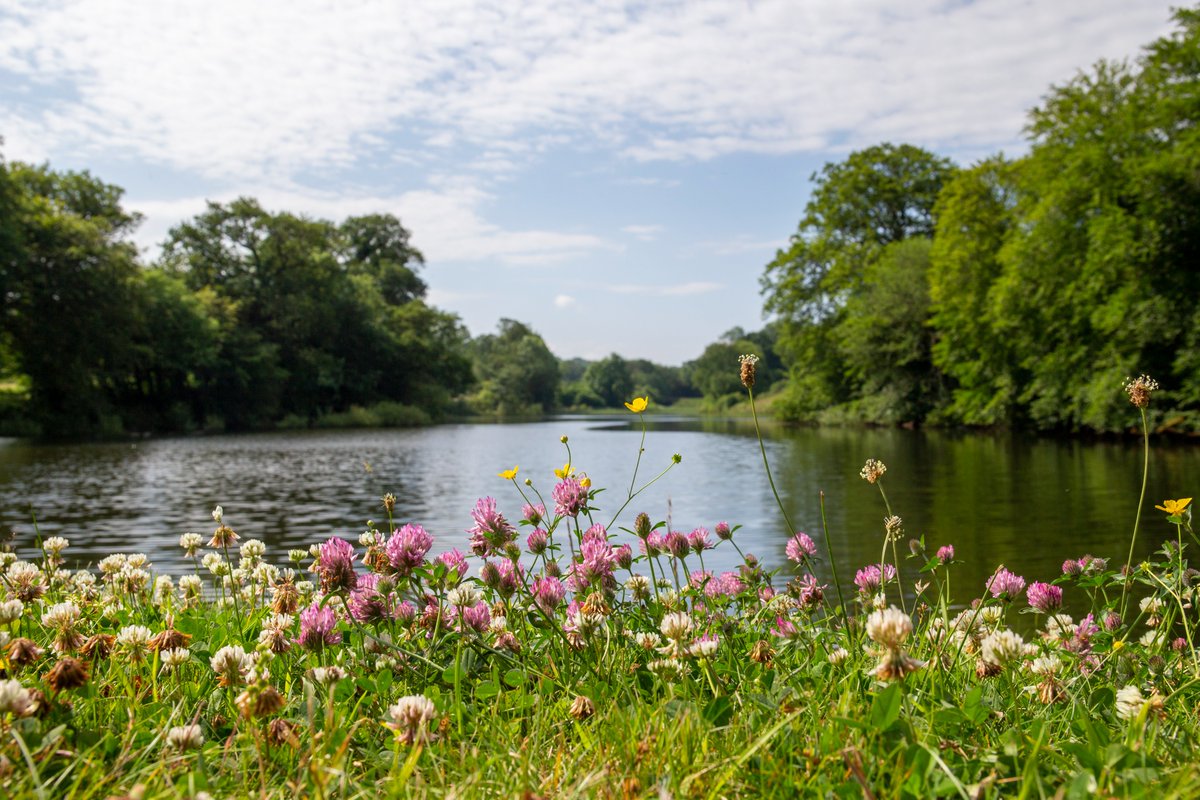 walesbotanic's tweet image. Darganfyddwch dirwedd yr ydym wedi treulio 4 blynedd yn adfer! 
Dilynwch y llwybrau newydd a dewch o hyd i dirwedd o 2 llyn newydd, 6 pont newydd a rhaeadr eiconig. 
Dewch i Archwilio!

#Diolch @HeritageFundCYM 
#GarddCymru #tirwedd #rhaeadr #Cymru #SirGaerfyrddin