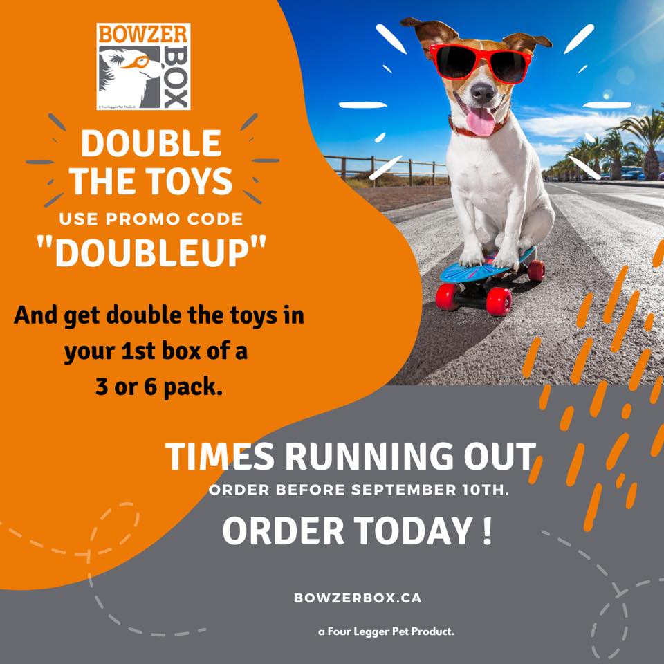 FourLeggerBox's tweet image. Time&apos;s Running Out. Use promo code “doubleup” and get double the toys in your 1st box of a 3 or 6-Box Subscription today. BowzerBox.ca

#DogBox #BowzerBox #FourLegger