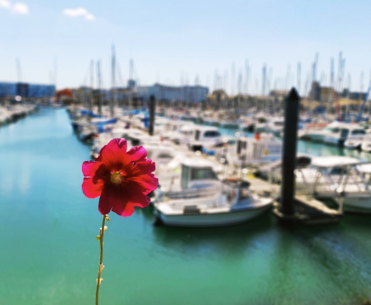 Instant suspendu.
Prendre le temps d'aimer et d'apprécier ce que nous offre la vie.
Et la remercier...