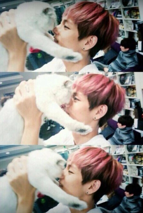 น้องแมวตัวนี้ใช่แมวของน้องแทรึป่าวนะชั้นติ่งไม่ทันตอนนั้นอ่ะ แต่น่ารักมากเลยเห็นแล้วใจยวบแมวแฟนก็เหมือนแมวเรา  I<a href="/tag/bts"class="tags"><span>#bts</span></a><a href="/tag/army"class="tags"><span>#army</span></a><a href="/tag/butter"class="tags"><span>#butter</span></a><a href="/tag/mpn"class="tags"><span>#mpn</span></a><a href="/tag/permissiontodance"class="tags"><span>#permissiontodance</span></a><a href="/tag/b"class="tags"><span>#b</span></a>