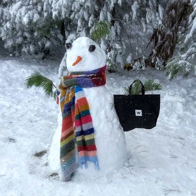 mciverza's tweet photo. Even a snowman needs @WOOLWORTHS_SA re-usable bag when venturing out for supplies.
#capesnow #matroosberg #ceres https://t.co/gnGRjbWGFp