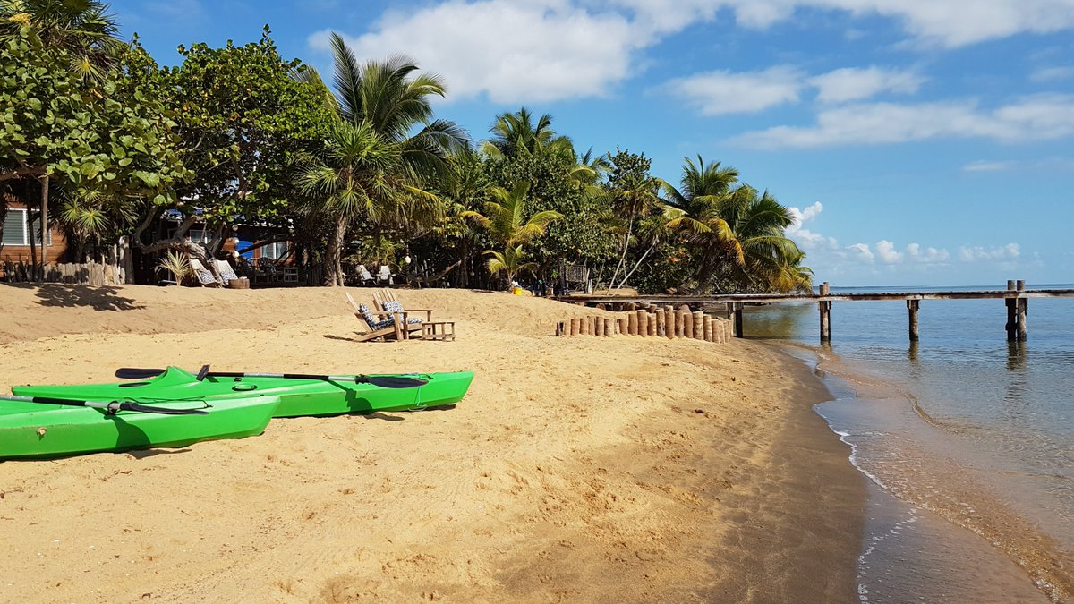 LeaningPalm's tweet photo. Beautiful day for a kayak outing! #kayak #leaningpalm #travelbelize https://t.co/cF6LmTyZ5M
