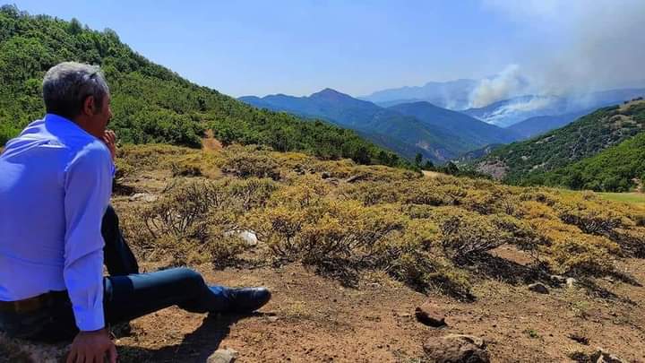 Çaresizlik nedir deseler. Bu fotoğrafı gösteririm. ormanlar yanarken, Dağlar, taşlar, kurtlar kuşla, böcekler, ağaçlar ağlarken.
Dersim Belediye Başkanı Fatih Mehmet Maçoğlu hiçbir şey yapamamanın acısıyla yanan ormanları sadece  ağlayarak izliyor 
bölgeye sivillerin girişi yasak