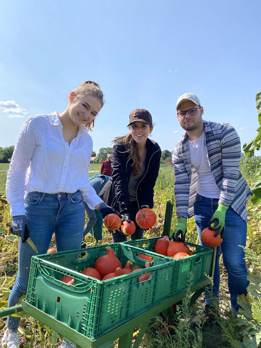 FlorianPanko's tweet photo. Wir Nachwuchskräfte der @glsbank durften die letzte Woche bei @bioboden in #Rothenklempnow mit anpacken und das Büro mit der Landwirtschaft tauschen. Eine tolle Erfahrung mit vielen schönen Erkenntnissen.💚#ShareDichDrum #GLS #Bioboden https://t.co/hpcmF5VUXk