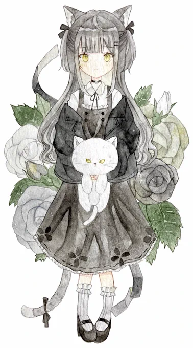 黒猫 