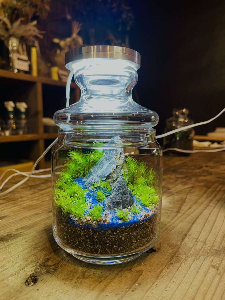 苔テラリウムワークショップ 苔テラリウムワークショップ