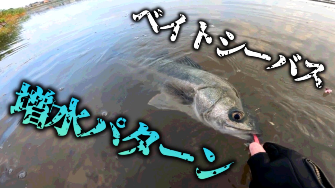 Mana 自作系釣りch Mana Fishing 27 Twitter