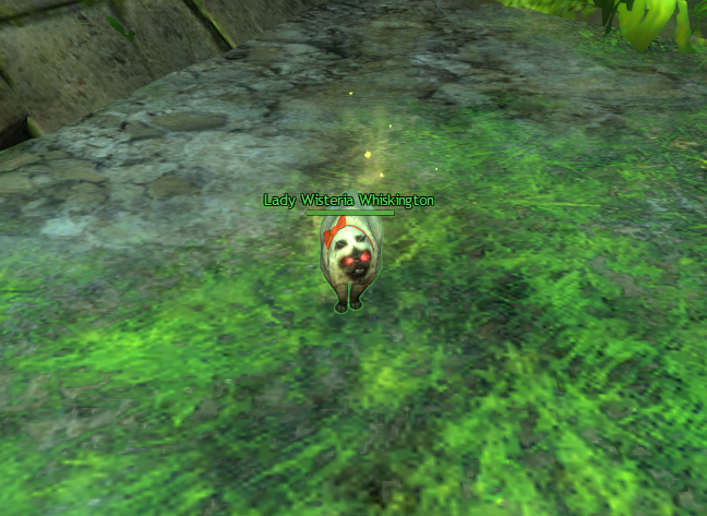 LillAnnC's tweet photo. Got me a new pet in Home! 😻#GW2 #GuildWars2 #cat #ladywisteriawhiskington https://t.co/N530151Hor
