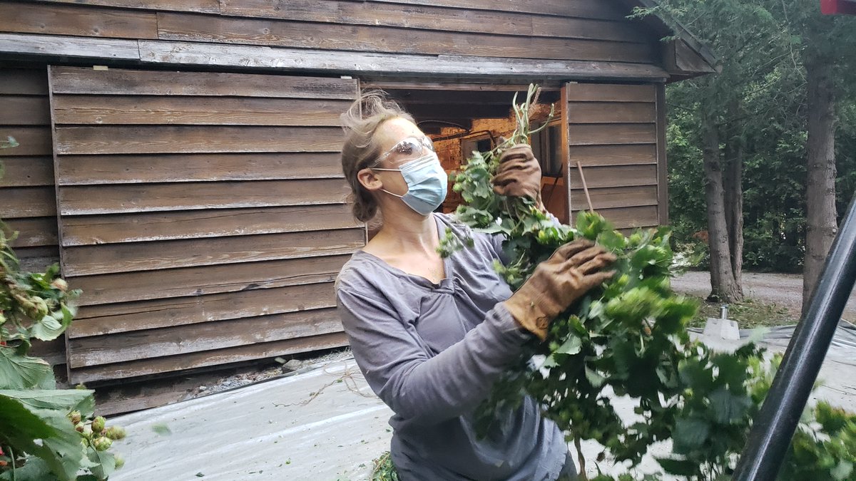 Harvest 2021 - Racing to do some harvesting before the rain...
We could not have done it without friends and family! <a href="/StephJaworski/">Stephanie Jaworski</a> had the harvesting working harder than I thought was possible!