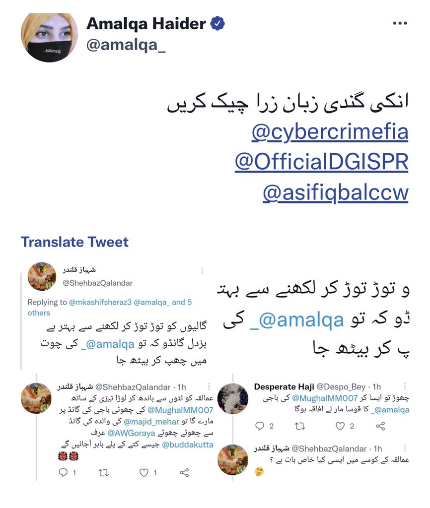 #IStandwithAmalqaHaider and I demanding strict action against them, they must be using fake accounts and they would be have more accounts too, so please check their all accounts and remove from all social media sights, thanks 
 @cybercrimefia