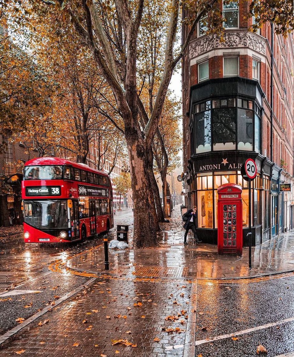 ebubekiryaman's tweet photo. London in a few weeks 🍁😍

Are you ready for Autumn? ☔️

Photo by dr_difilippo https://t.co/midRzSYU5M