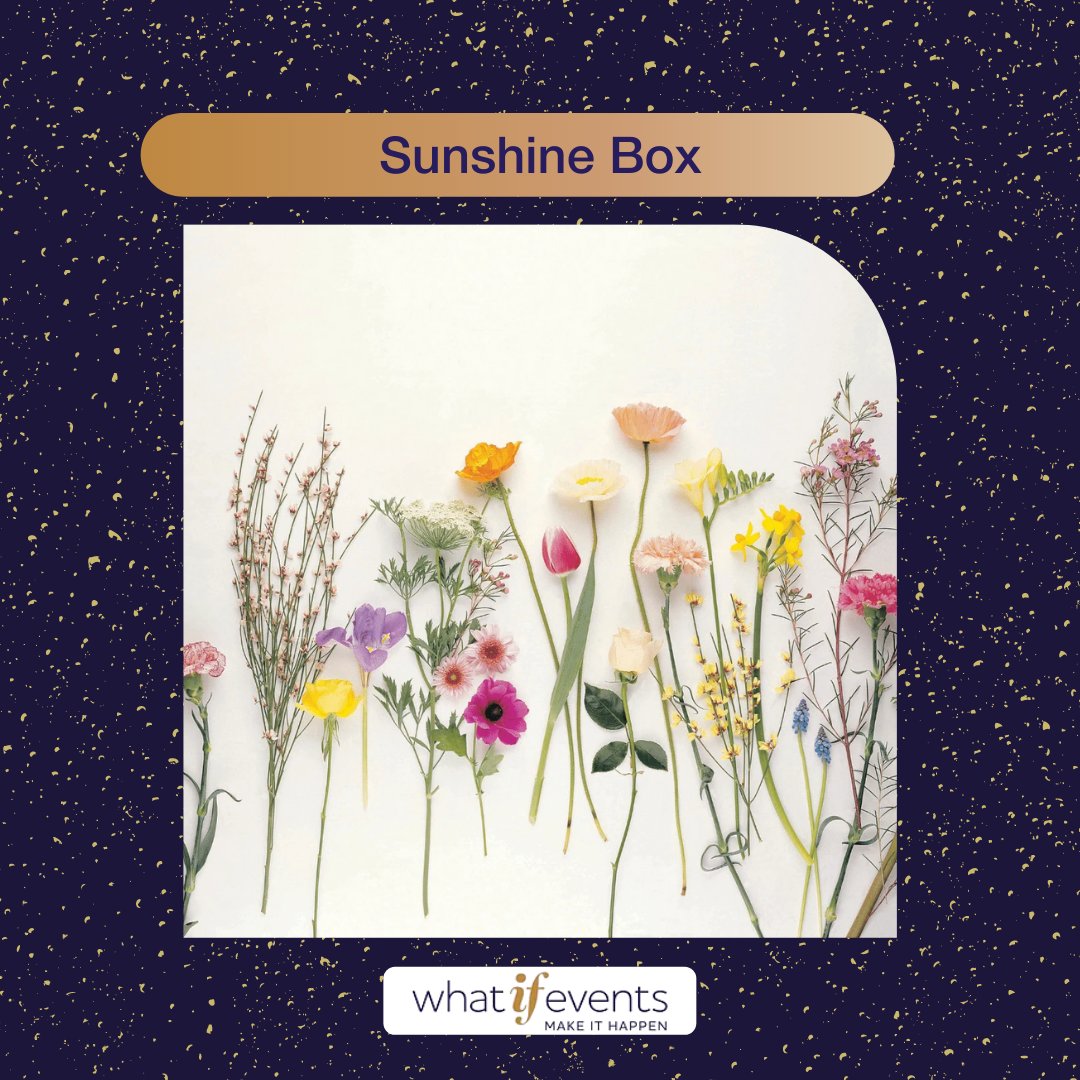 When the weather isn’t on your side, don’t you wish for some sunshine? 🌧️

Don’t worry cause our #SunshineBox does just that. Handpicked #inseasonflowers with some of the best #chocolate you might ever try! ☀️

Buy one and cheer up with some sunshine:
what-if-events.myshopify.com/collections/al…