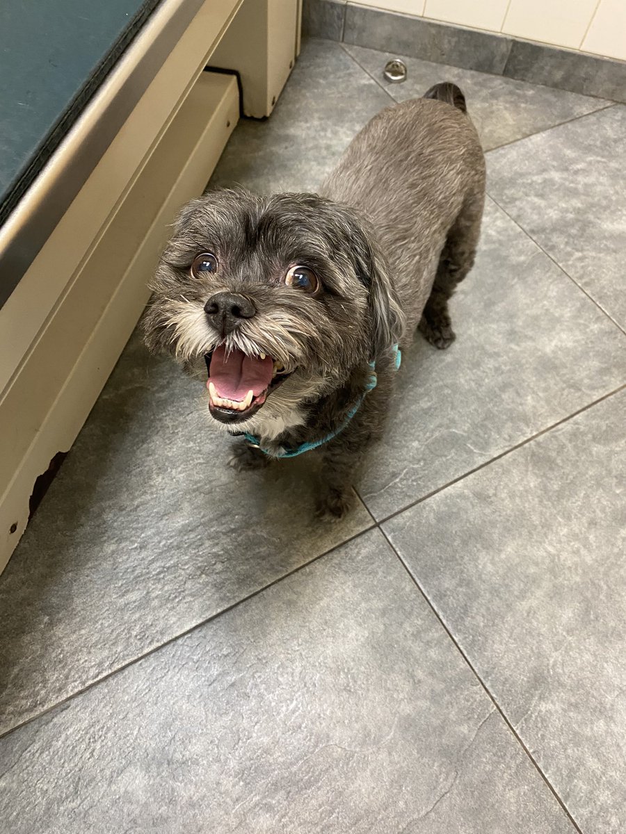 rnEPLabNYP tweet media